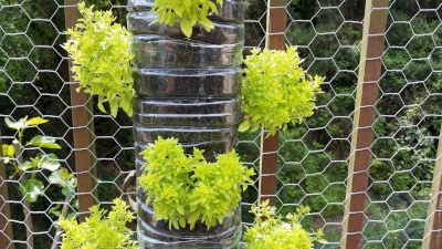 Taller «Huerto vertical»